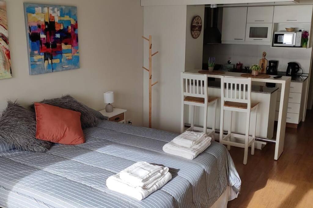 Apartment Dpto-2 Pax- Monoambiente-centro *
